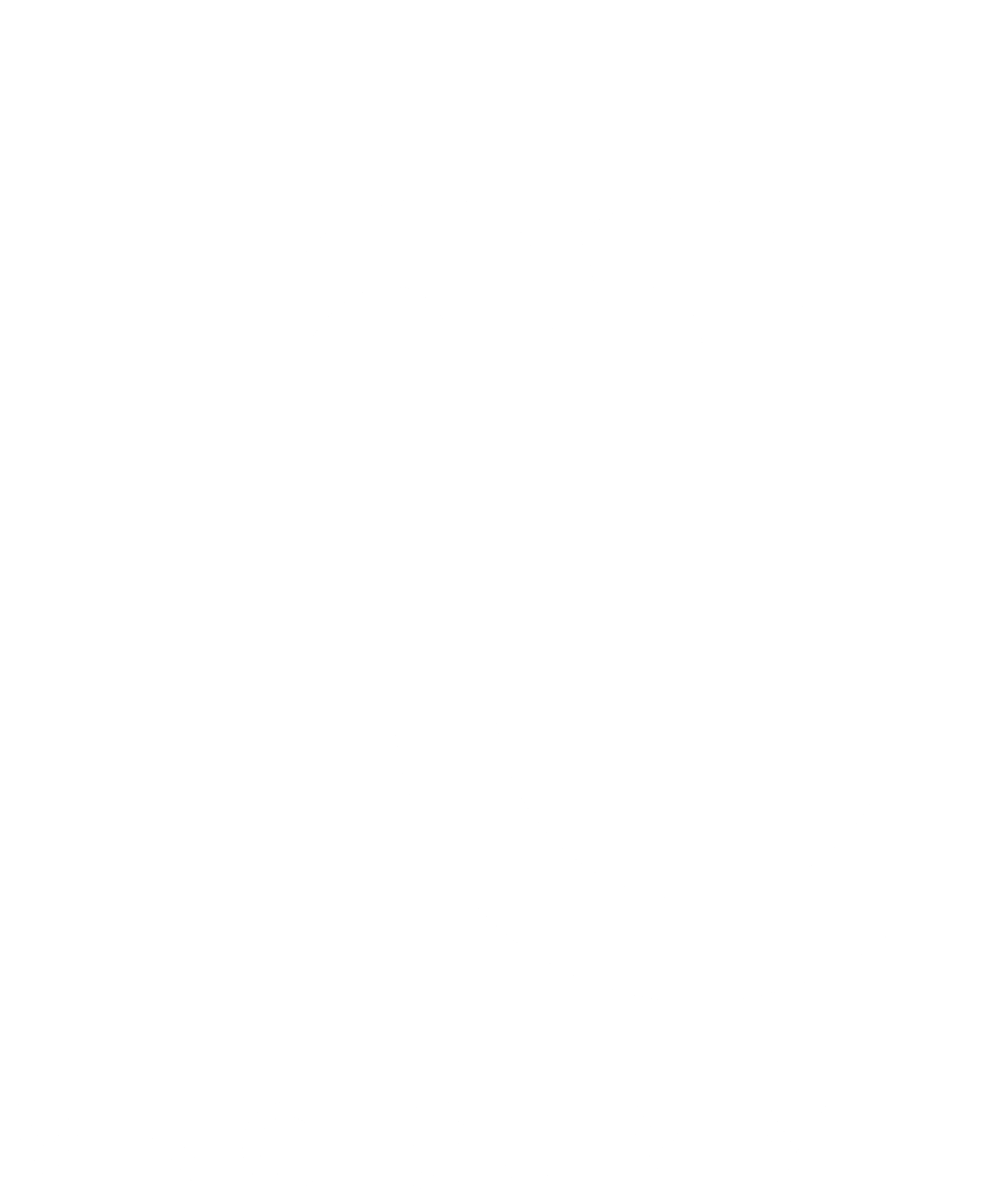MNG Summit